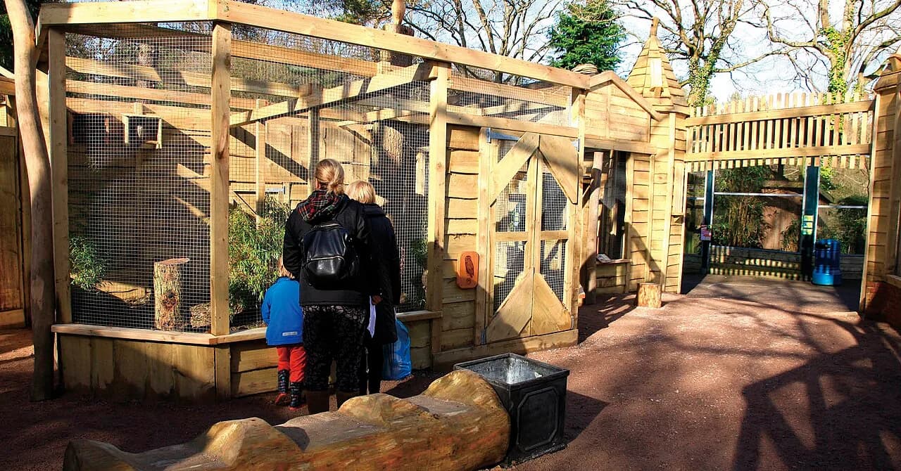 Terry Pratchett Owl Parliament at Birdworld