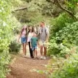 Shorefield Country Park holiday park with lodges and landscaped parkland