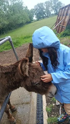 Island Farm Donkey Sanctuary, Across Oxfordshire