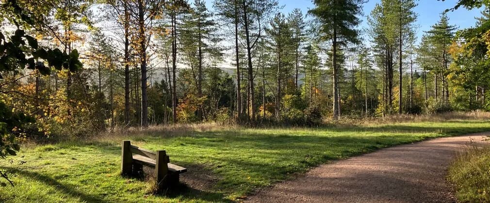 Wendover Woods, Across Oxfordshire
