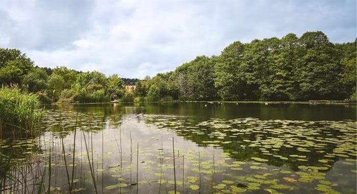 Baggeridge Country Park, Dudley