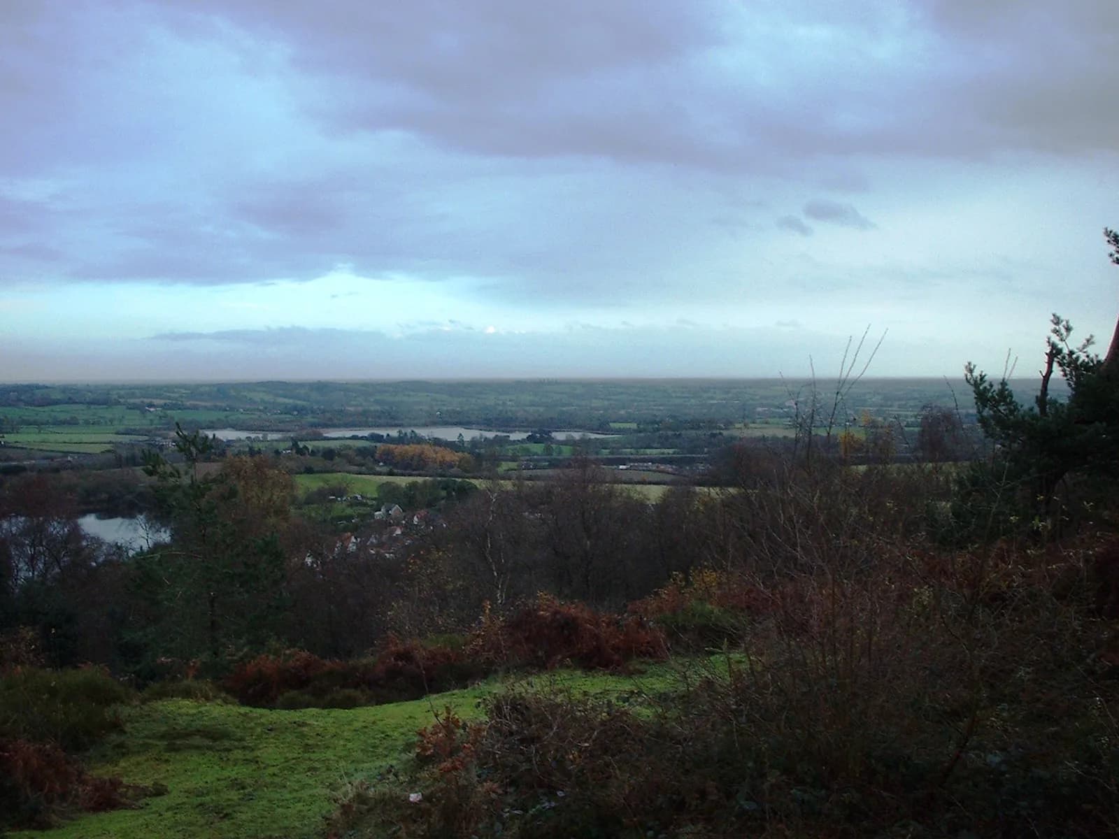 View over Lickey Hills Country Park landscape from Bilberry Hill