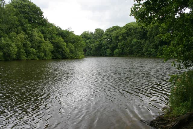 The Serpentine lake at Greenway Bank Country Park