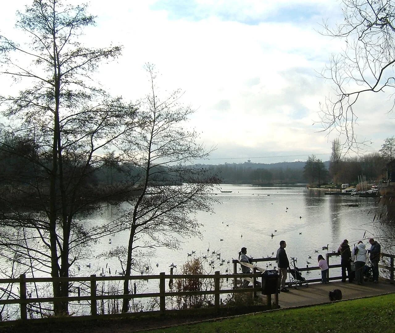 Arrow Valley Lake with a water tower on the horizon in Redditch