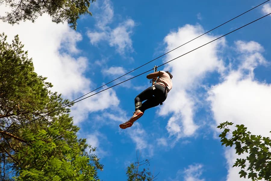 Person on a zipline above the forest canopy at Go Ape Wyre