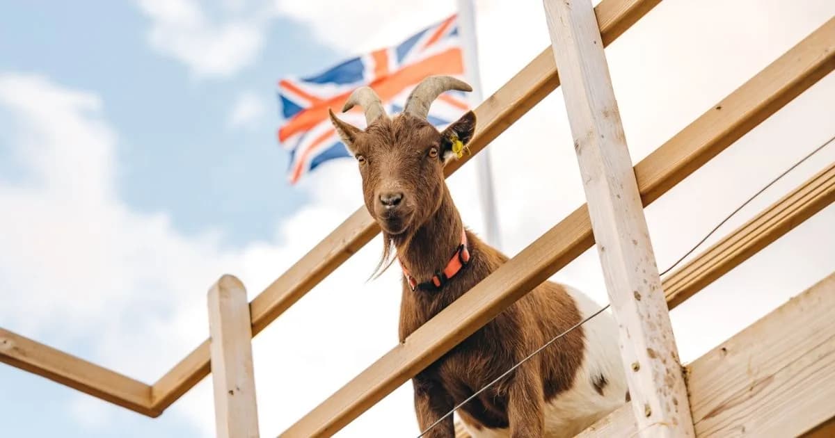 Park Hall Farm Countryside Experience, Oswestry