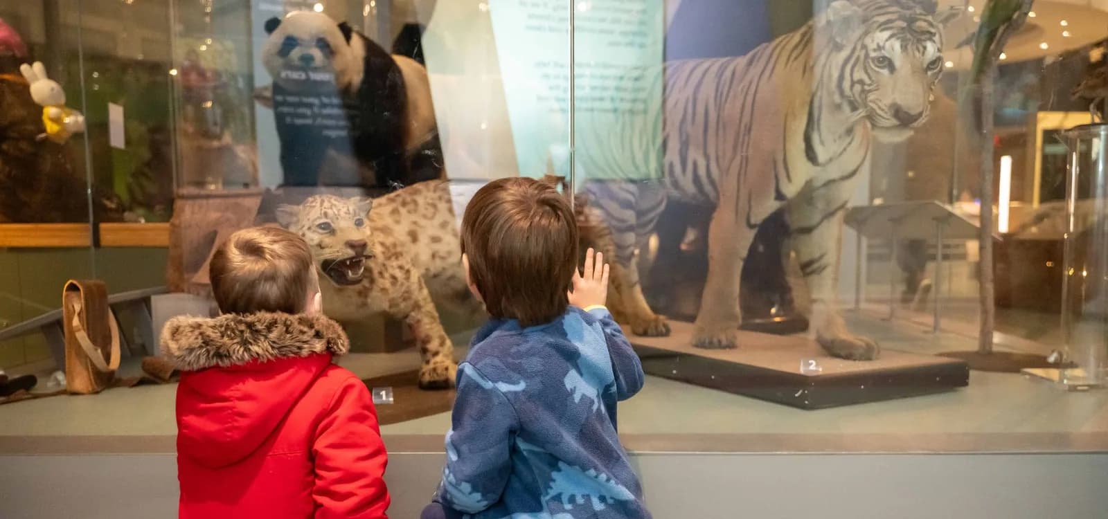 Leeds City Museum, Leeds