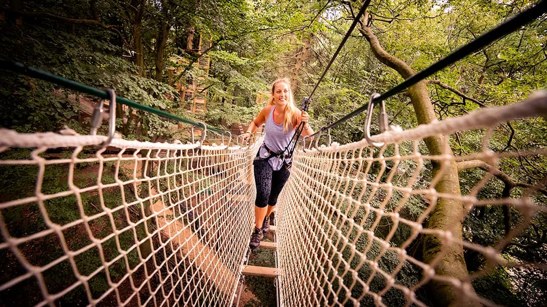 Person crossing a rope bridge while wearing a harness at Go Ape Temple Newsam