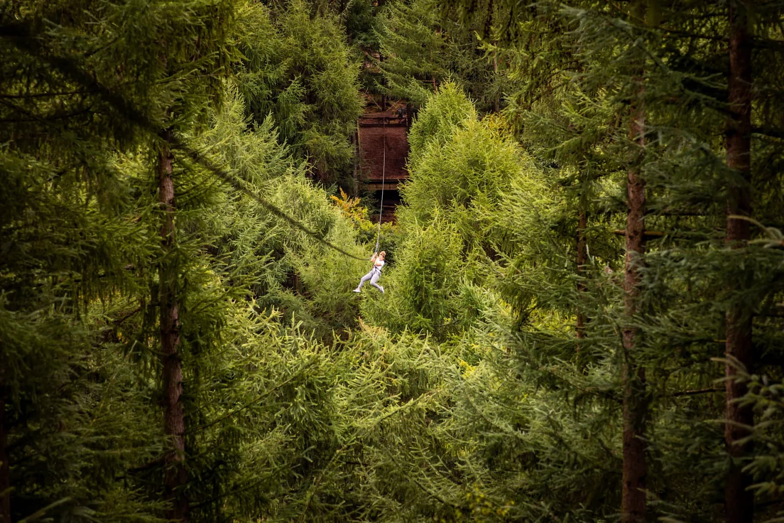 Person zip lining through trees at Go Ape Dalby Forest in the North York Moors