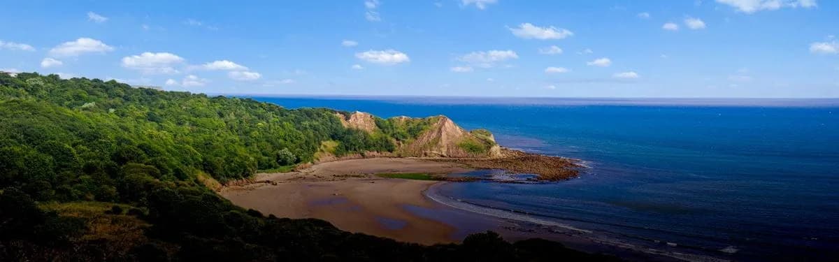 Panoramic view of Cayton Bay Holiday Park with forest, beach, and sea