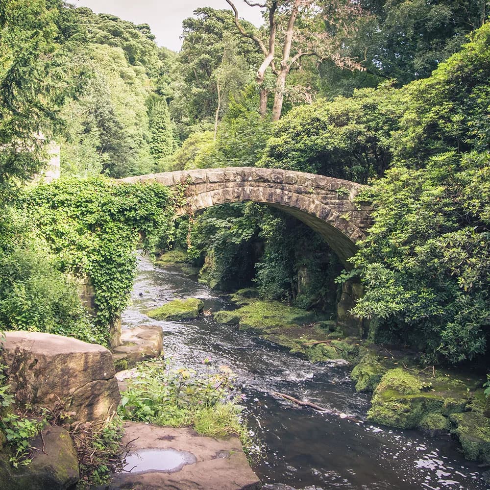 Jesmond Dene woodland park in Newcastle upon Tyne