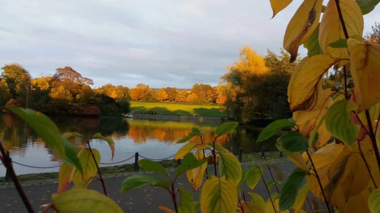 Pond at Saltwell Park in Gateshead