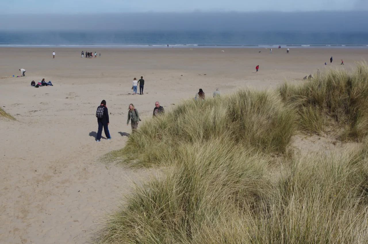Bamburgh Beach seen from the south with Bamburgh Castle in the background