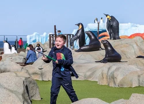 Frosty Penguin's Putting Adventure, Redcar