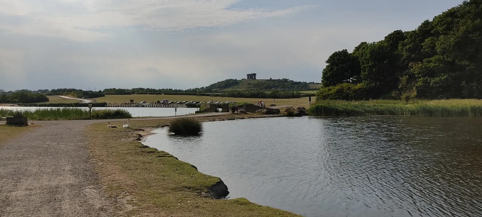 Herrington Country Park landscape view with lake and trees