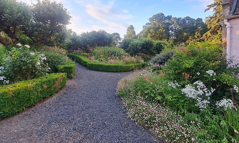 Gravel path winding through herbaceous borders and rose gardens at Mertoun Gardens