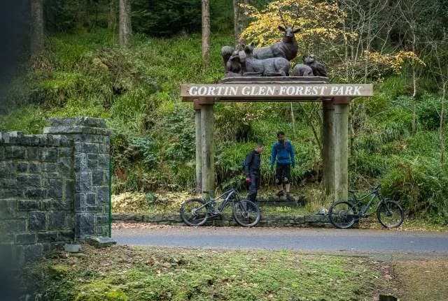 Mountain bike trails winding through Gortin Glen Forest Park