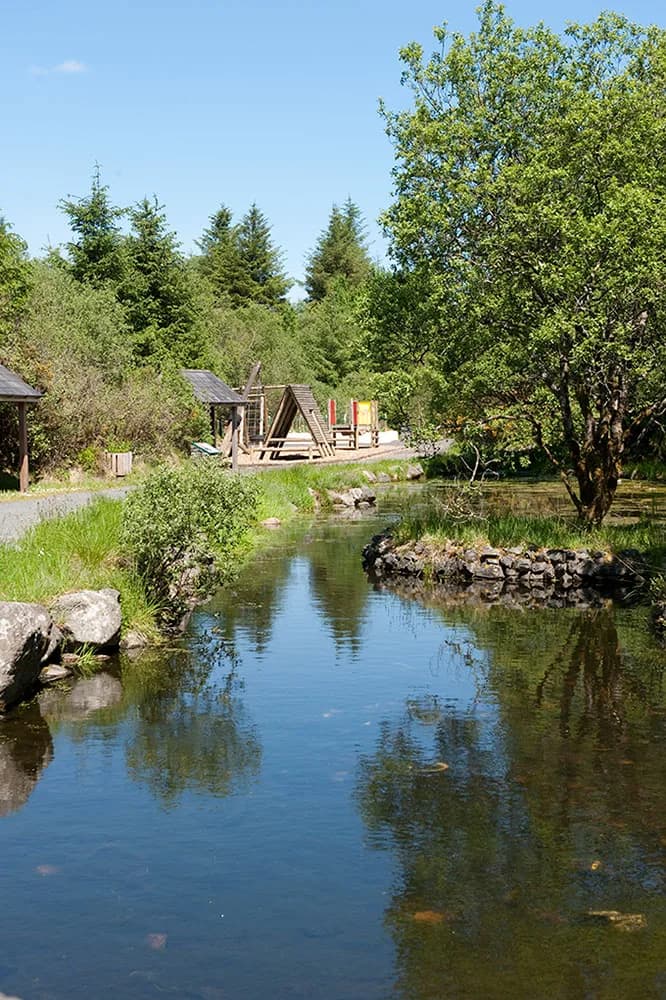 Wild Woods adventure area at An Creagán