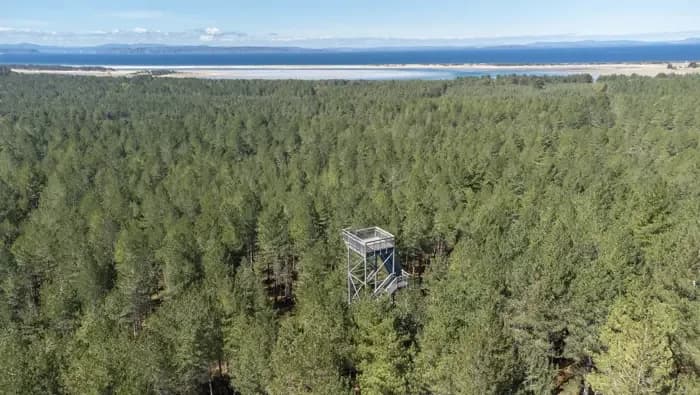 Culbin Forest viewpoint tower offering views over the treetops to the Moray coastline