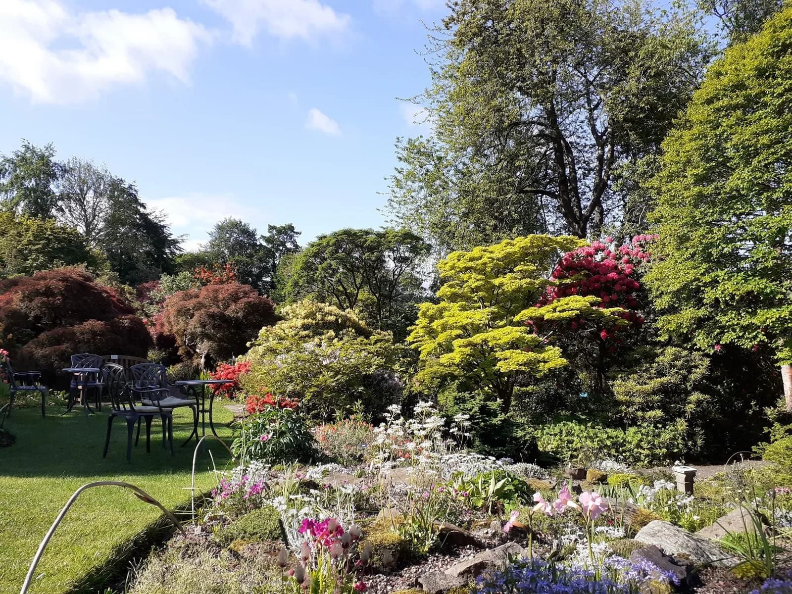 Branklyn Garden hillside view with colourful flowerbeds