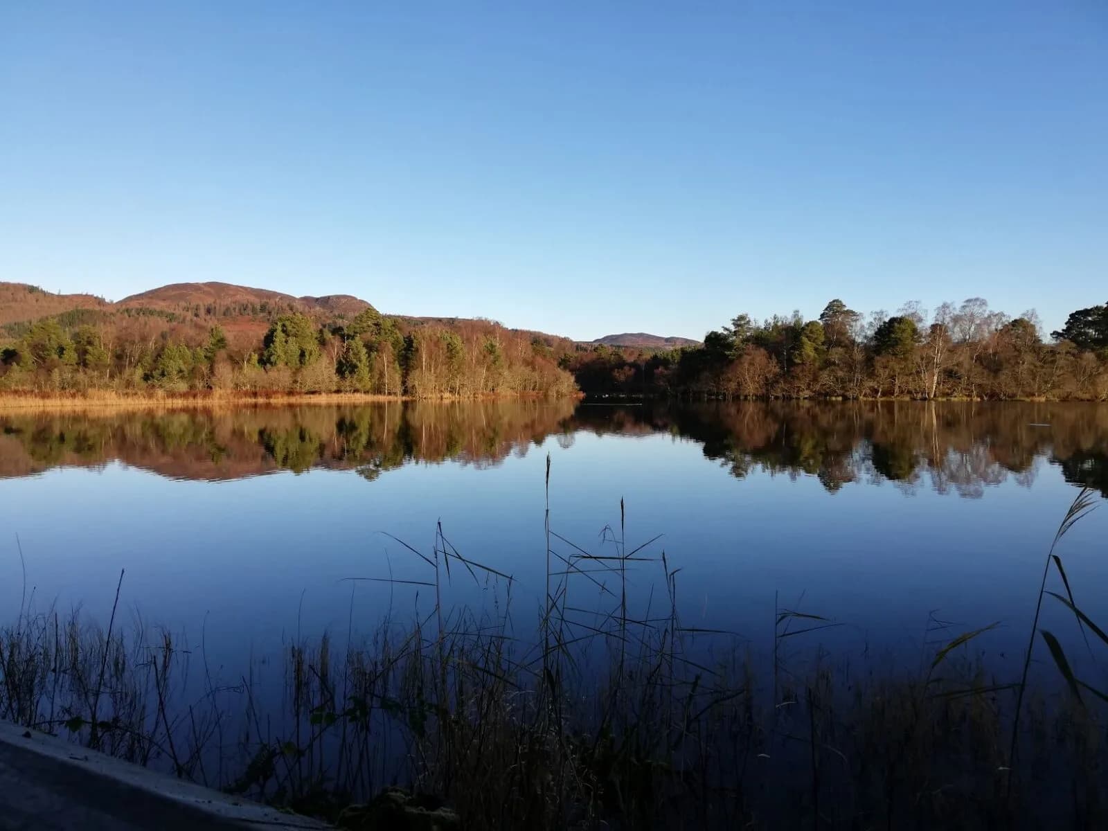 Loch of the Lowes loch view with woodland and hills reflected in the calm water