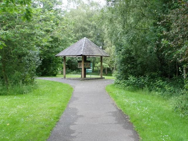 Peatlands Park bogland and pathways
