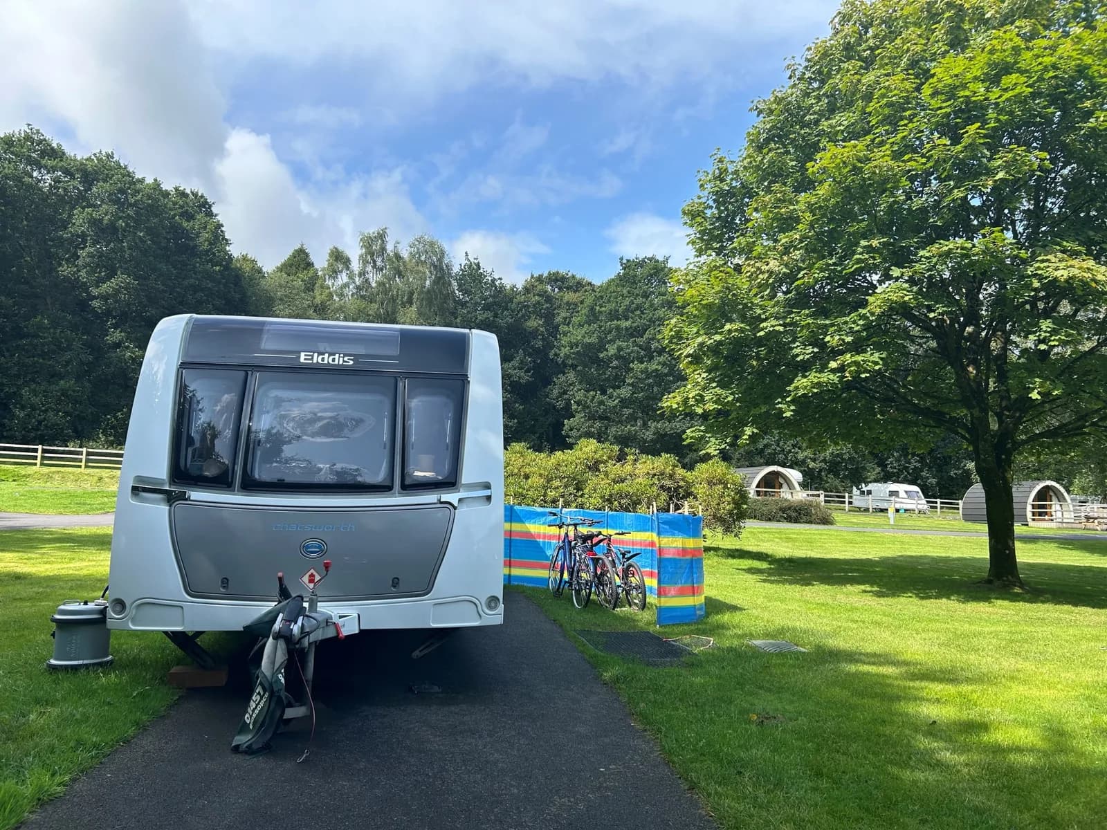 Gosford Forest Park campsite and woodland