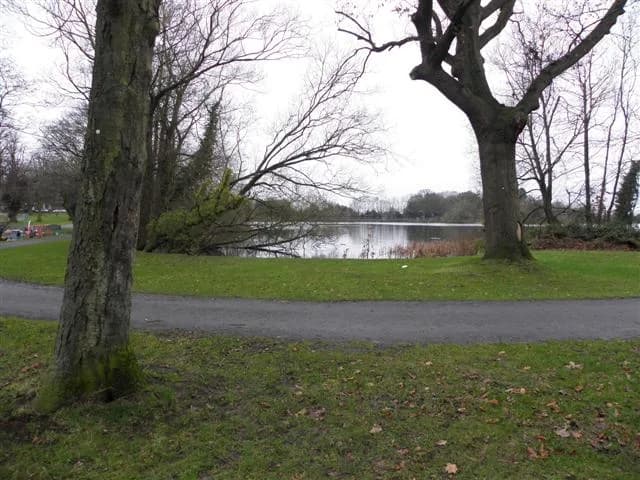 View of Lurgan Park showing open green space and trees