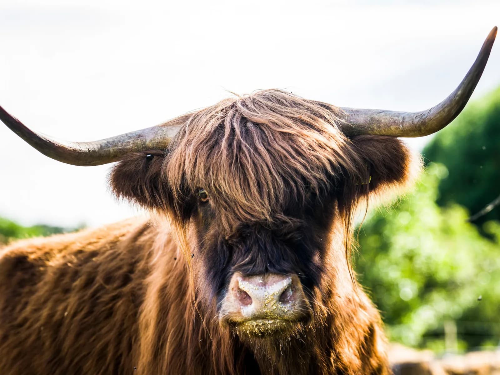 Balgownie Mains Farm Tours, Kirkcaldy