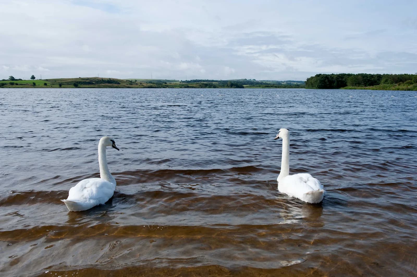 Lochore Meadows Country Park, Glenrothes