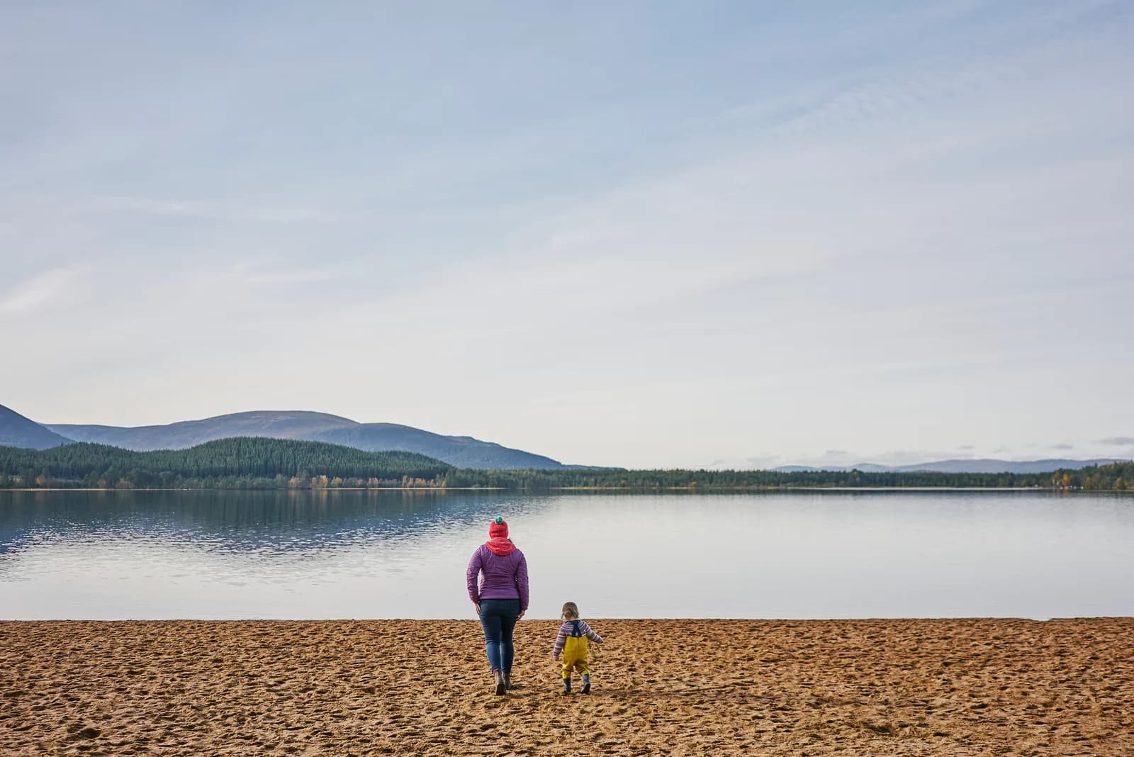 Glenmore Forest Park, Aviemore