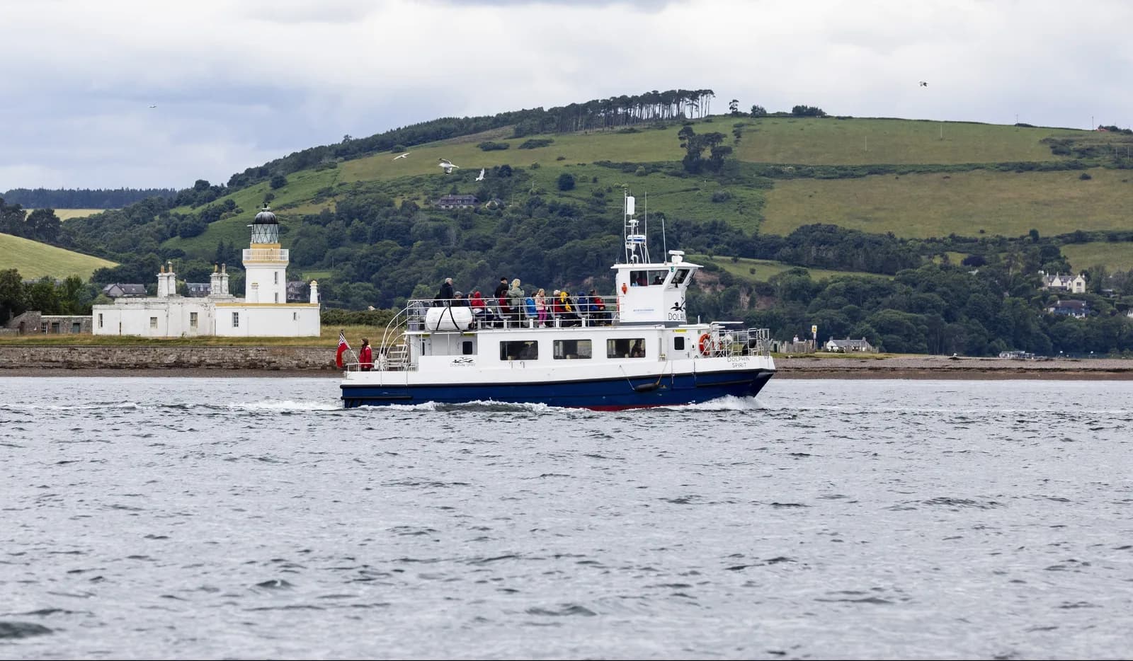 Dolphin Spirit wildlife cruise catamaran near Chanonry Point lighthouse