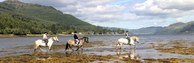Highland Pony Trekking, Fort William