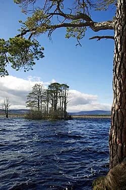 RSPB Loch Garten, Aviemore