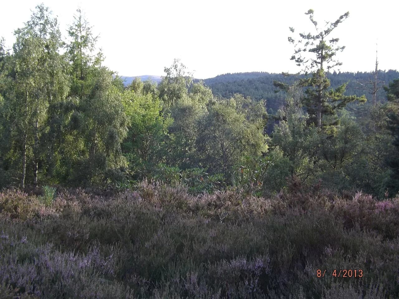 Muir of Dinnet National Nature Reserve, Aberdeen