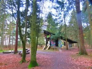 Templeton Woods woodland path in Dundee