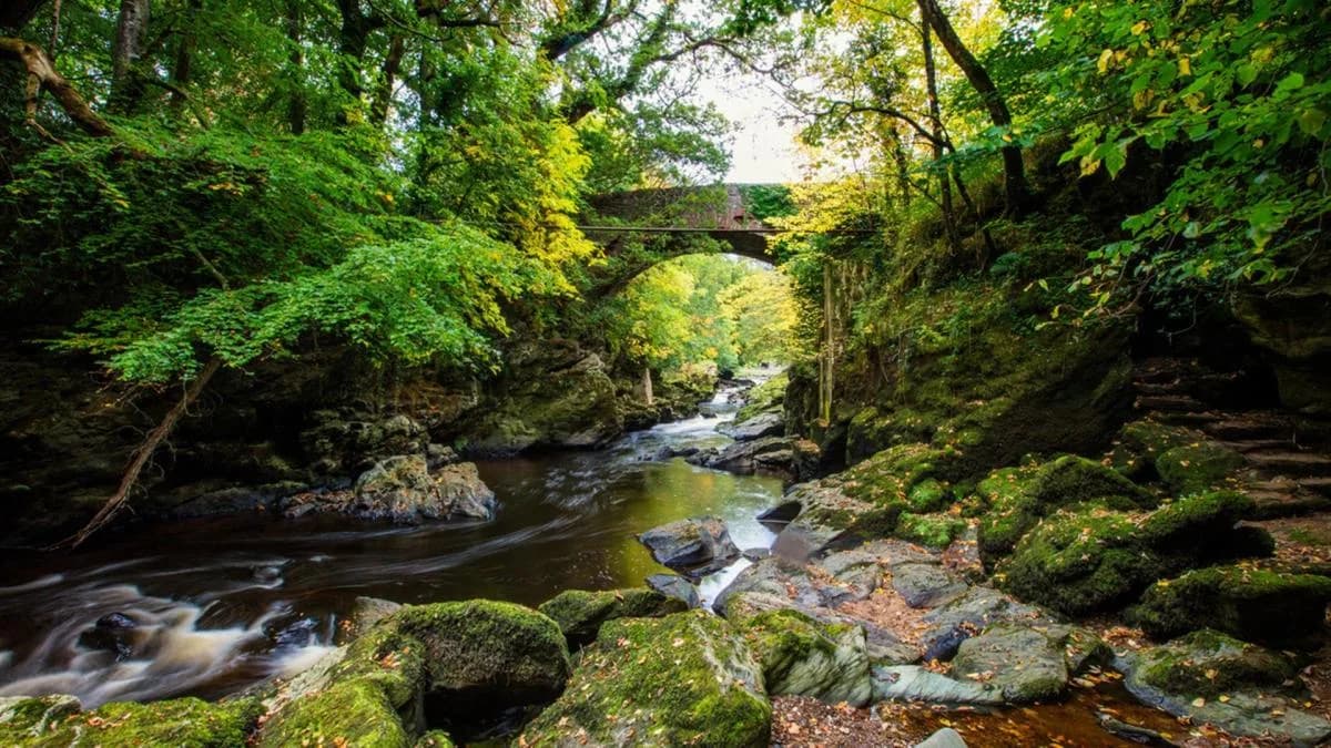 Roe Valley Country Park, Derry / Londonderry