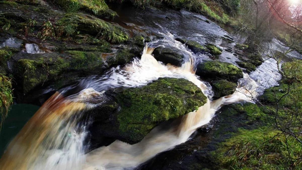 Ness Country Park, Derry / Londonderry