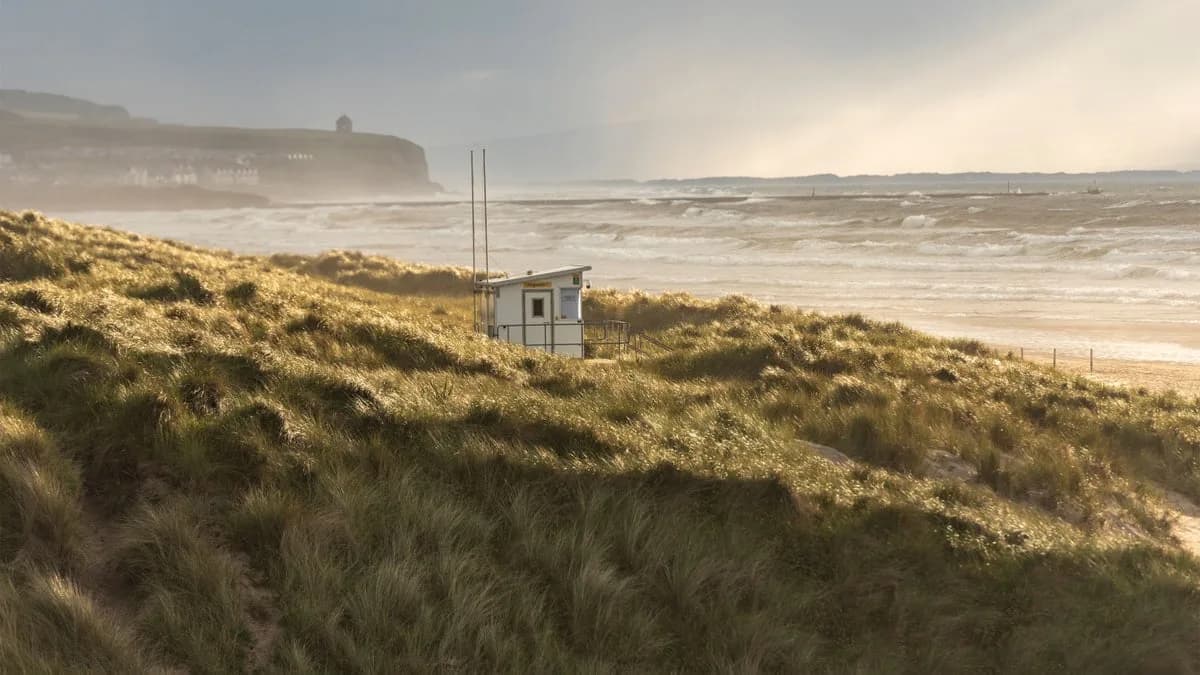 Portstewart Nature Reserve, Portstewart