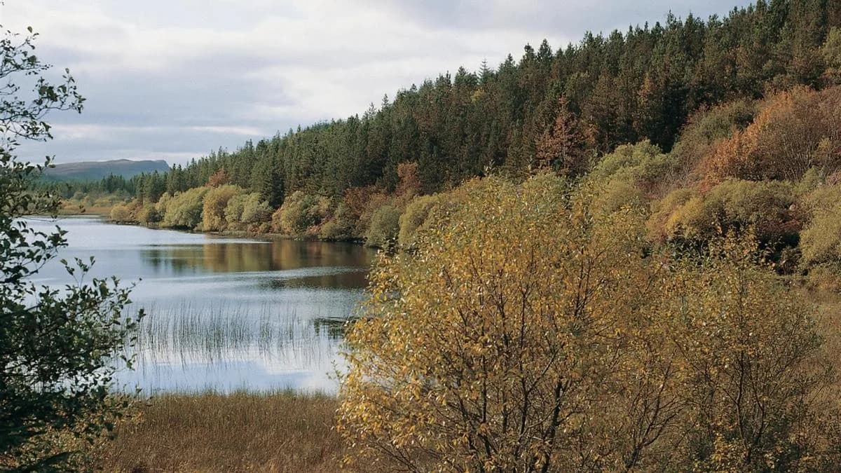 Lough Navar Forest, Enniskillen