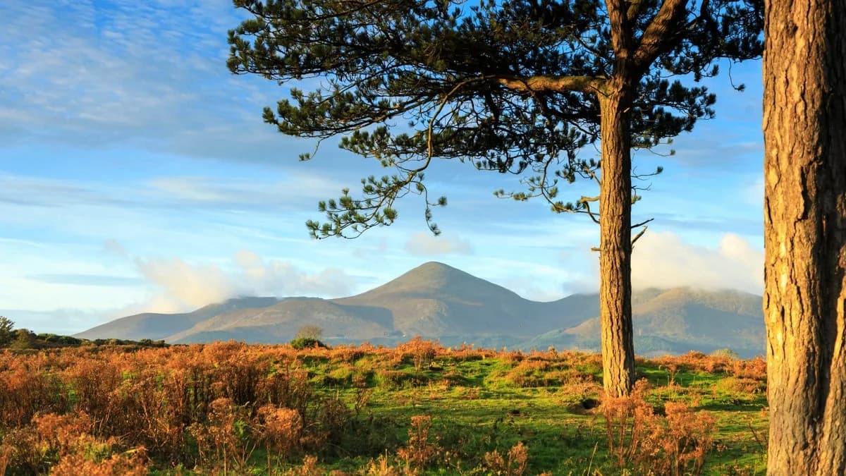 Murlough Nature Reserve, Newcastle