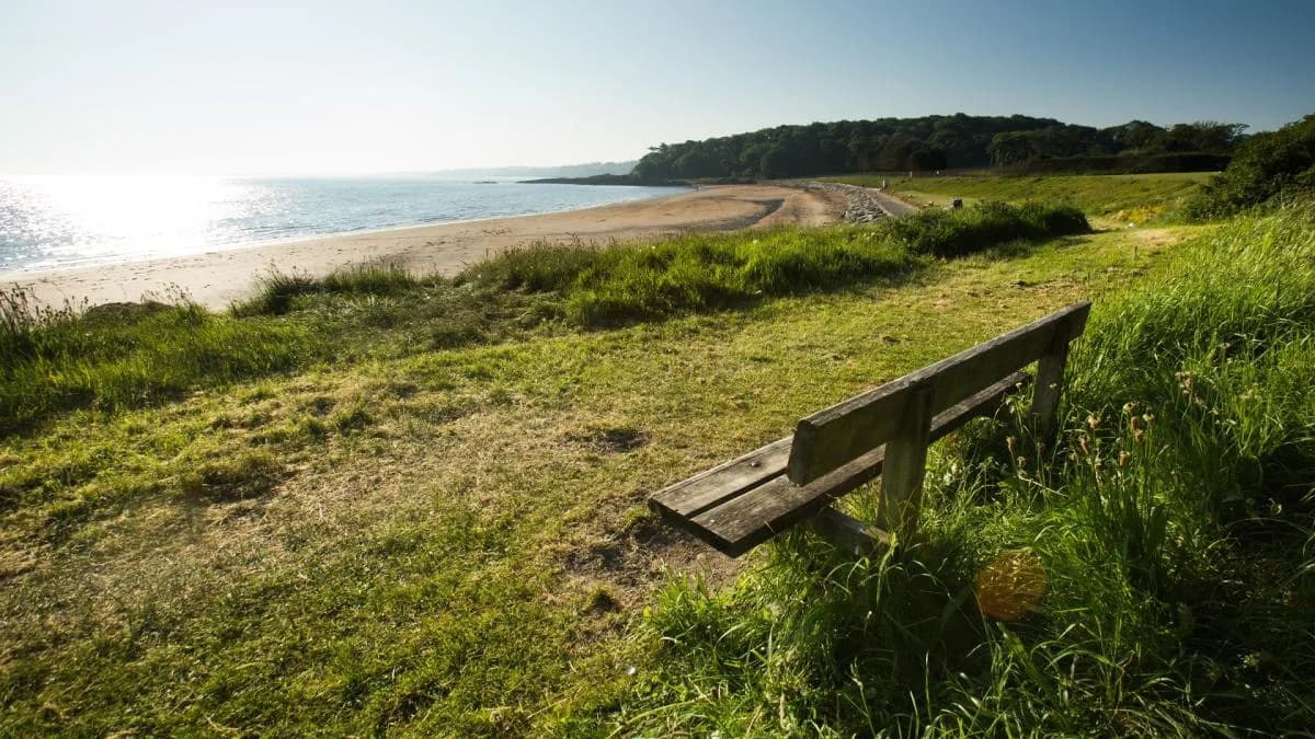 Helen's Bay Beach with bench overlooking Belfast Lough