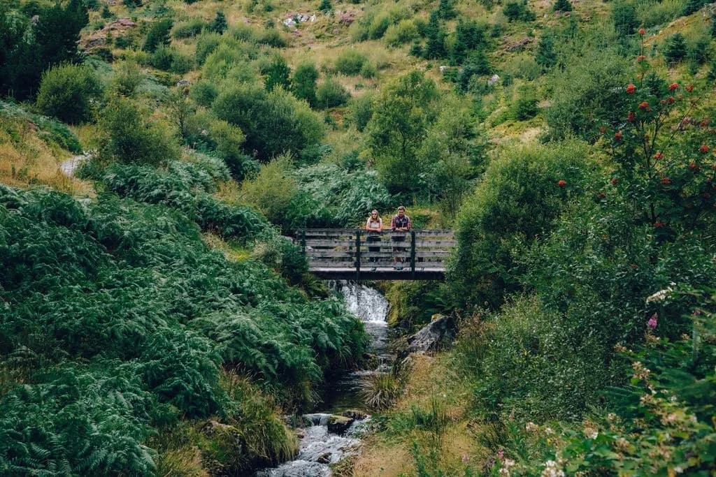 Hafren Forest river cascades with bridge and wooded hillside