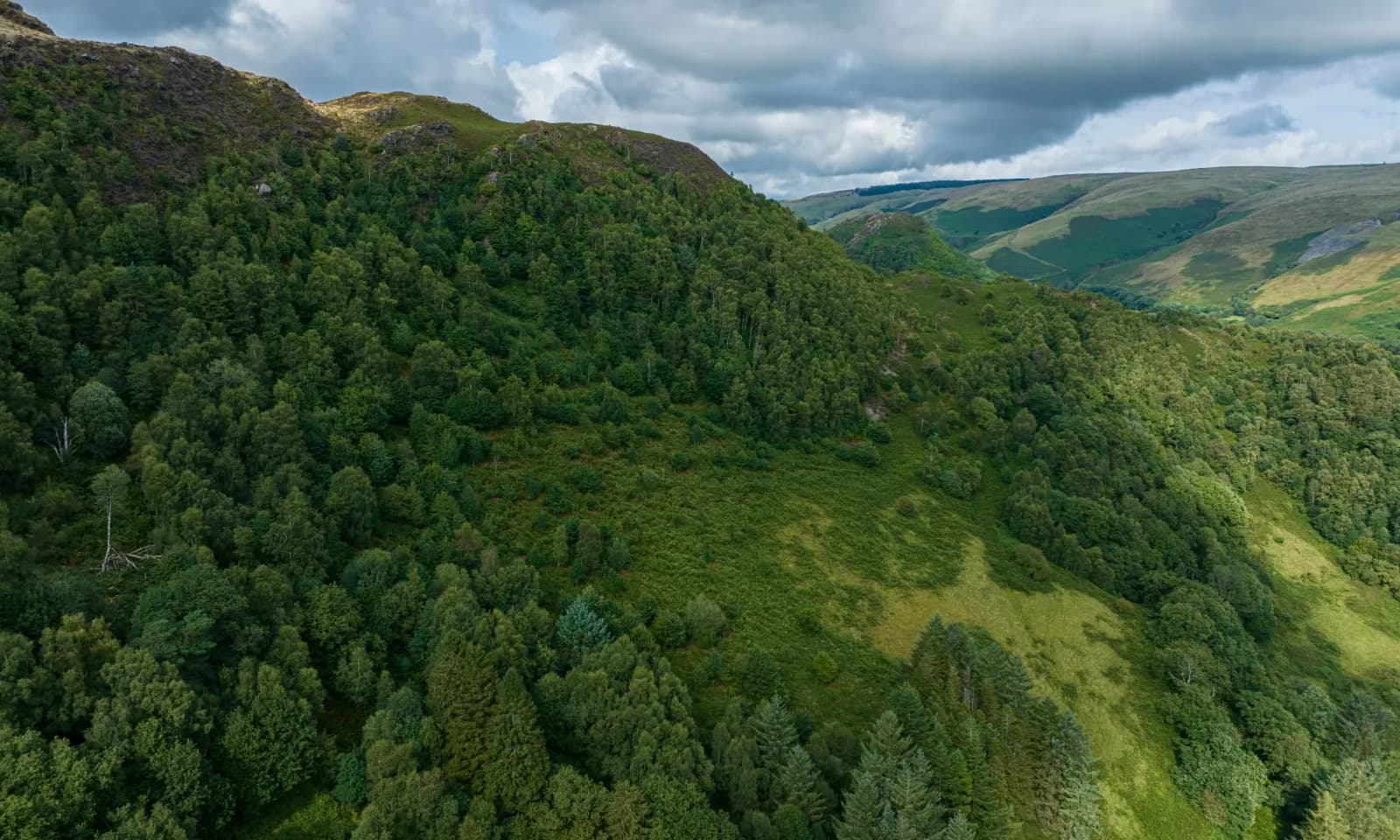 Gwenffrwd-Dinas RSPB Reserve, Carmarthenshire