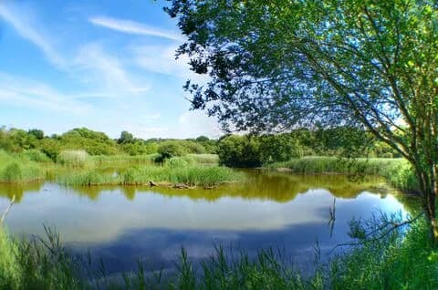 The Welsh Wildlife Centre, Cilgerran