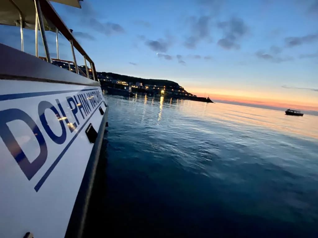 Sea Mor catamaran dolphin watching boat