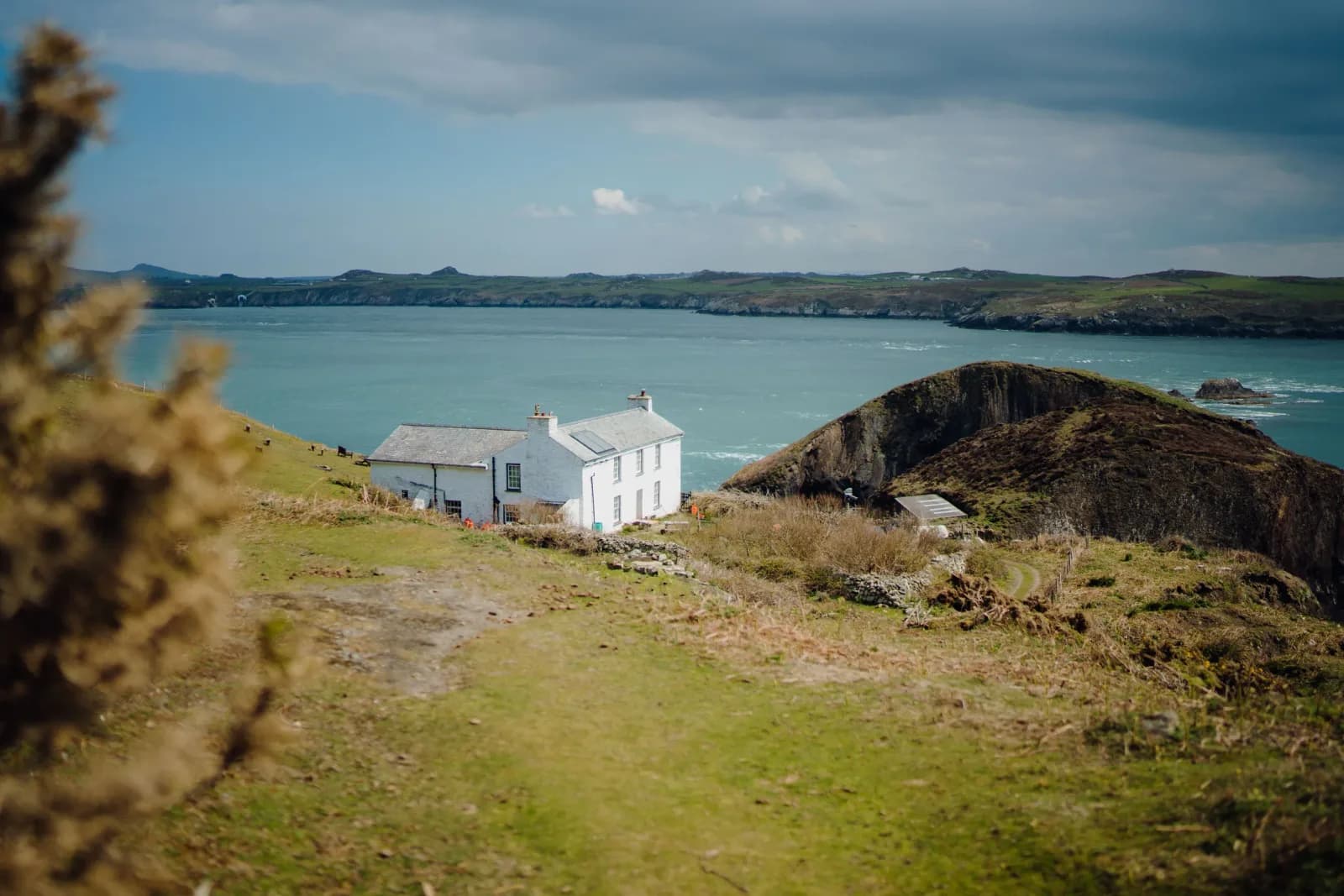 Ramsey Island, St Davids