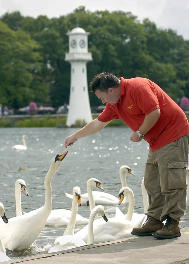 Roath Park, Cardiff