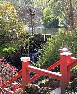 The Japanese Pond at Clyne Gardens in early spring with rhododendrons