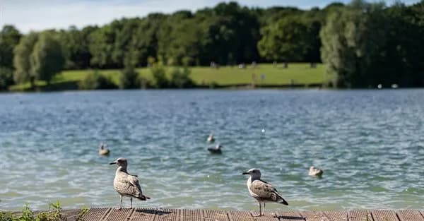 Cosmeston Lakes Country Park, Penarth
